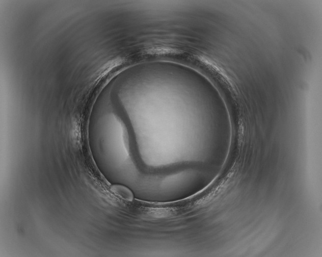 X0000111861305200907231443