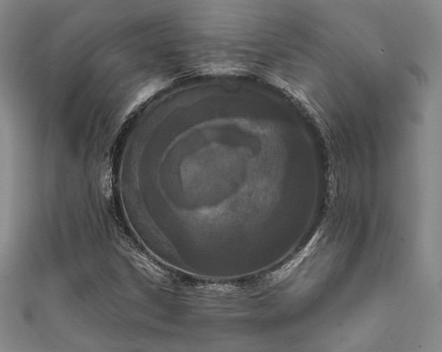 X0000111861306200907231443