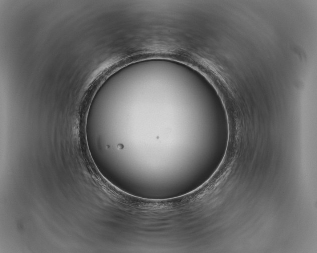 X0000111861307200907231443