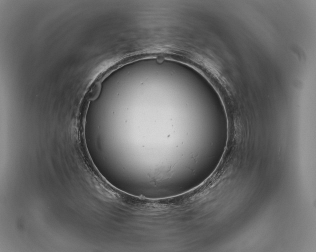 X0000111861308200907231443