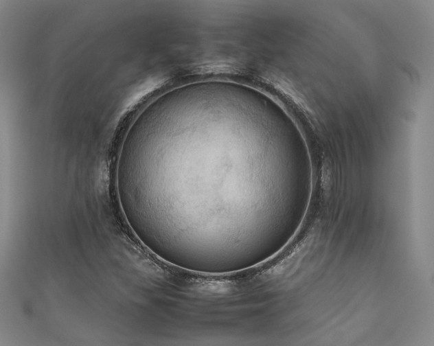 X0000111861309200907231443
