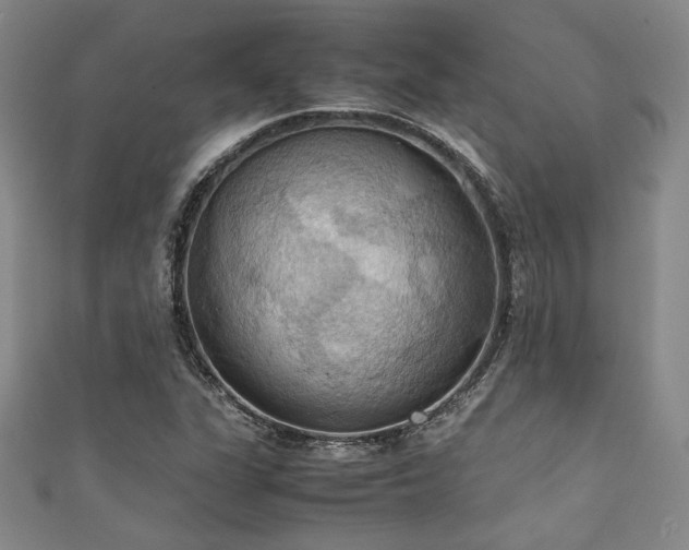 X0000111861311200907231443