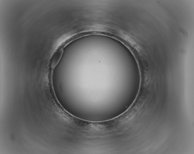 X0000111861312200907231443