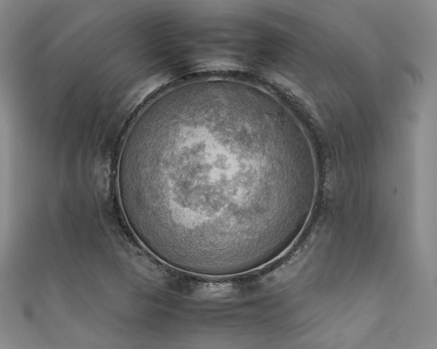 X0000111861313200907231443