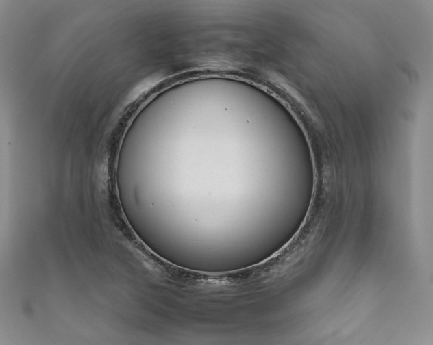 X0000111861315200907231443