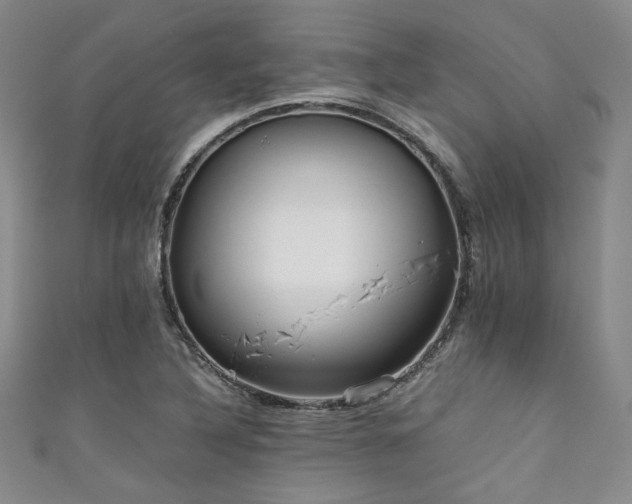 X0000111861316200907231443