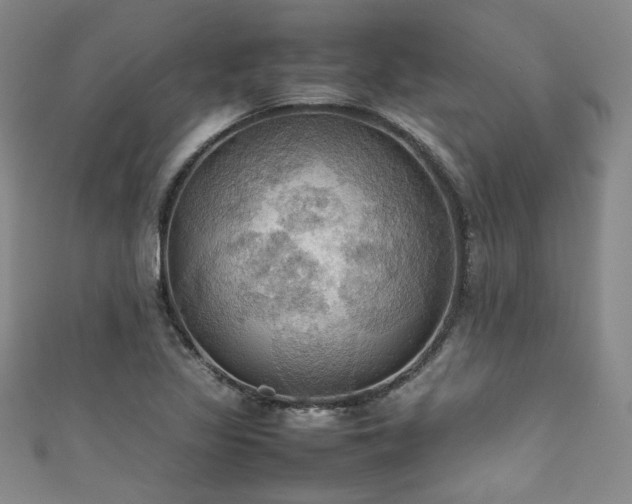 X0000111861317200907231444
