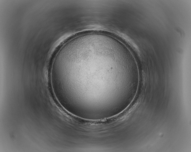 X0000111861318200907231444