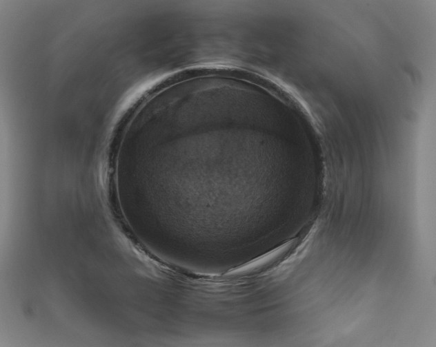 X0000111861319200907231444