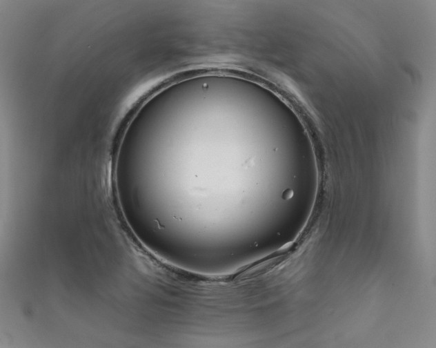 X0000111861320200907231444