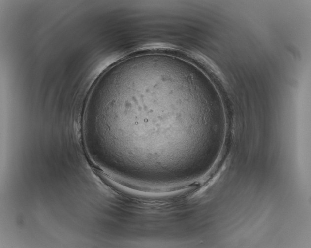 X0000111861321200907231444