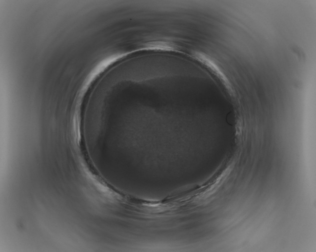 X0000111861323200907231444