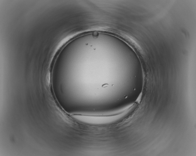 X0000111861324200907231444