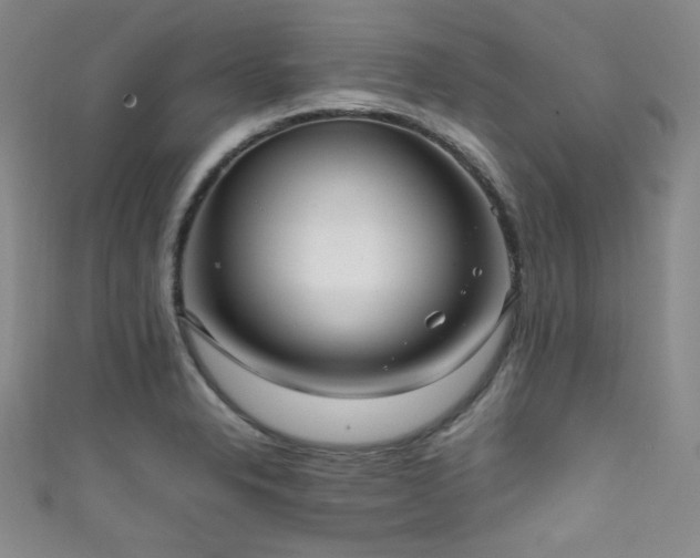 X0000111861326200907231444