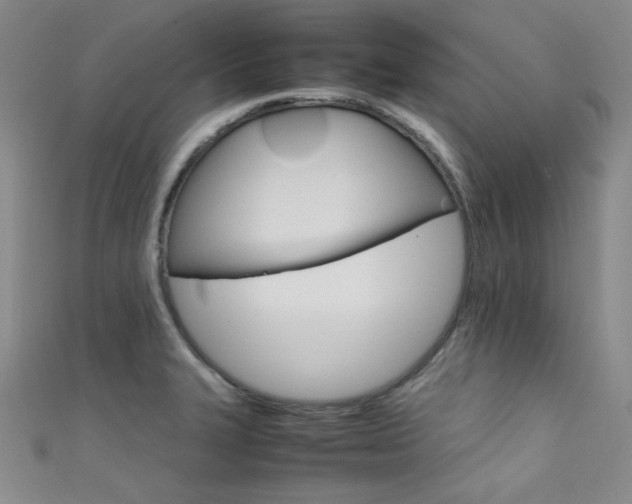 X0000111861327200907231444