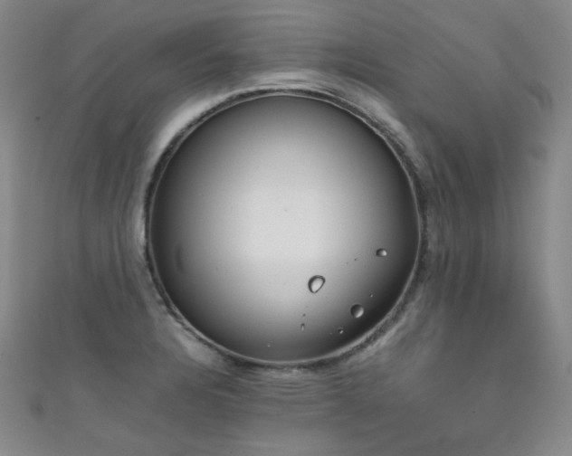 X0000111861328200907231444