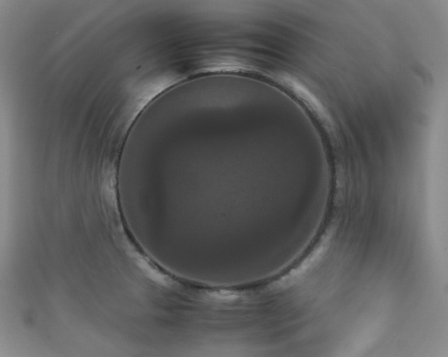 X0000111861329200907231444
