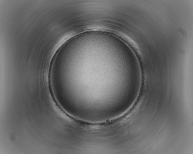 X0000111861330200907231444