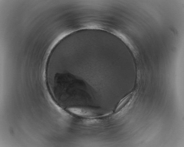 X0000111861331200907231444