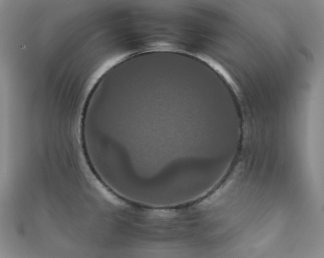 X0000111861333200907231444