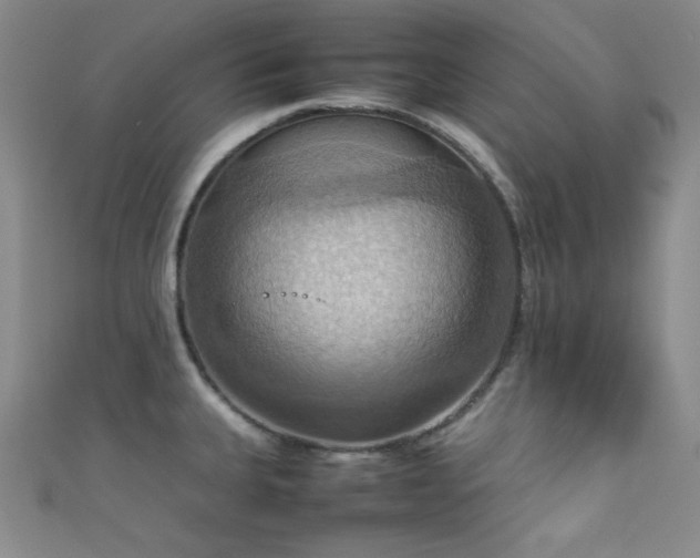X0000111861335200907231444