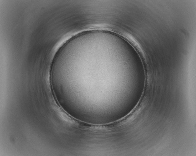 X0000111861336200907231444
