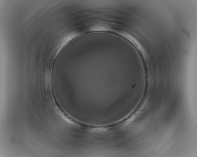 X0000111861337200907231444