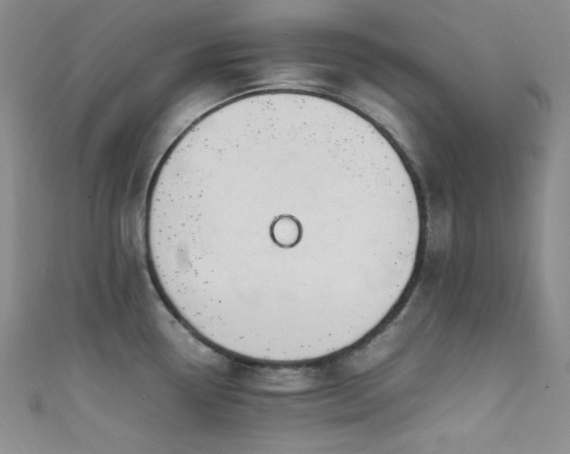 X0000111861338200907231444
