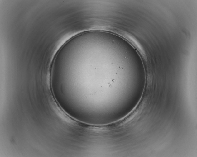 X0000111861340200907231444
