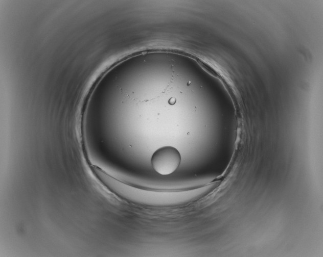 X0000111861342200907231444