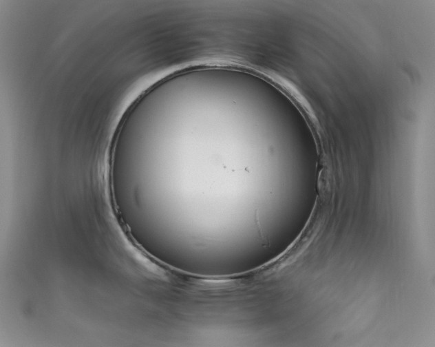 X0000111861343200907231444