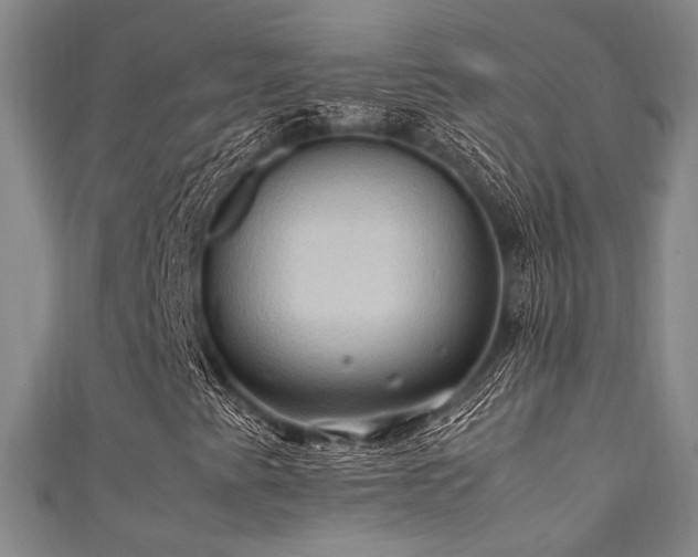 X0000111861345200907231443