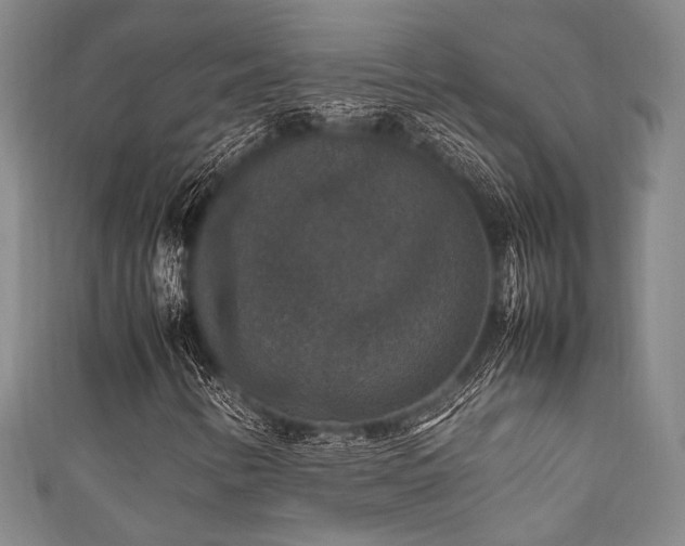 X0000111861346200907231443