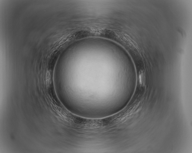 X0000111861347200907231443
