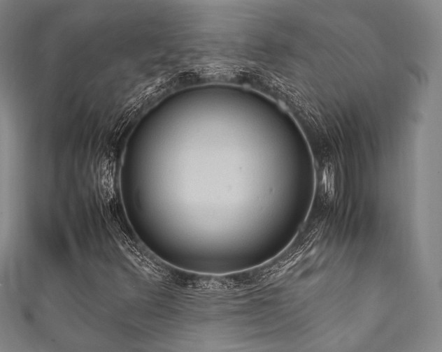 X0000111861348200907231443