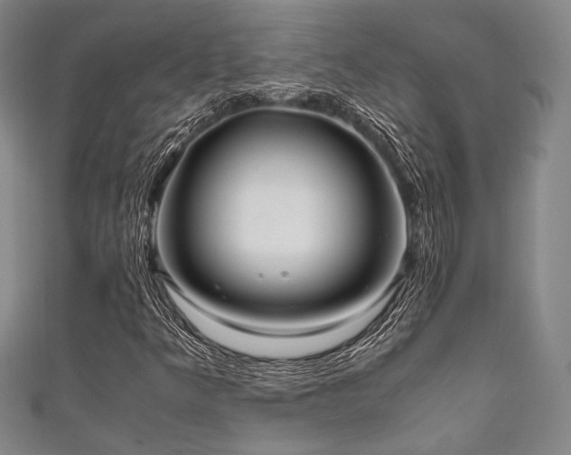 X0000111861349200907231443