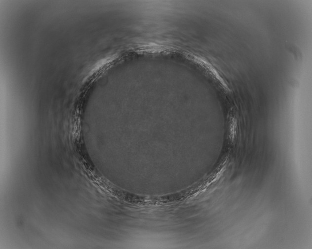 X0000111861350200907231443