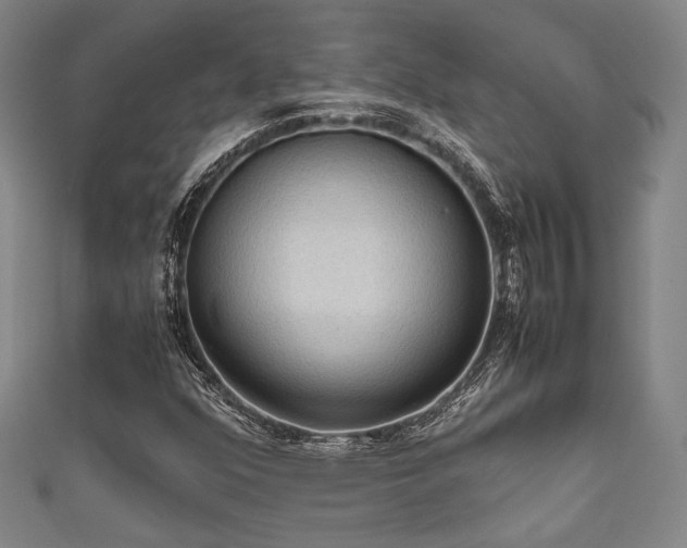 X0000111861352200907231443