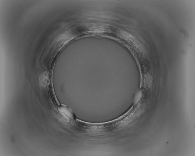 X0000111861353200907231443