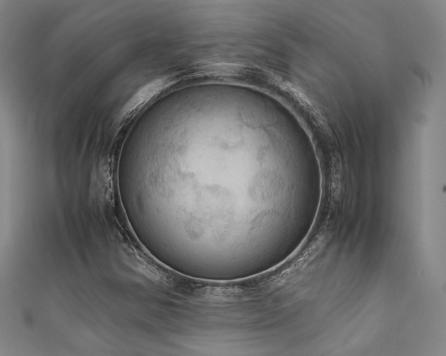 X0000111861354200907231443