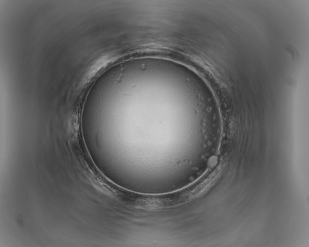 X0000111861355200907231443