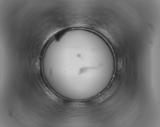 X0000111861356200907231443