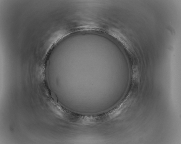 X0000111861357200907231443