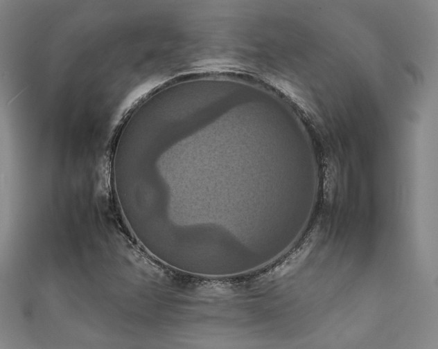 X0000111861358200907231443