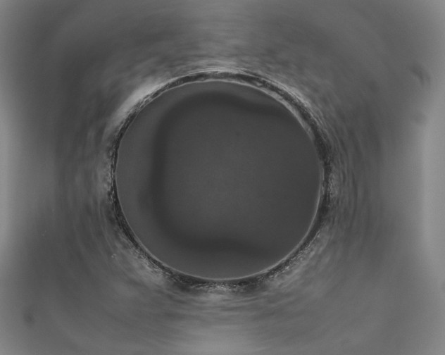 X0000111861359200907231443