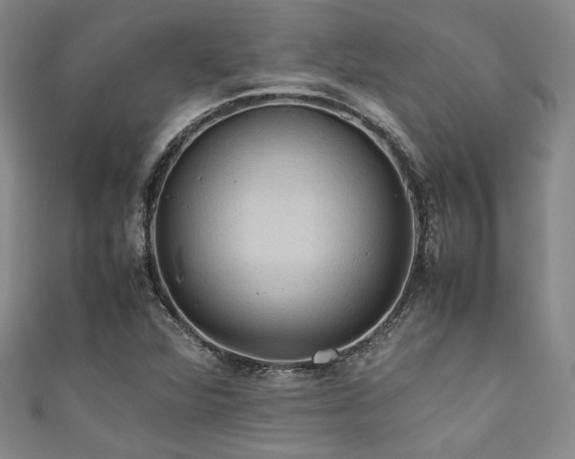 X0000111861360200907231443