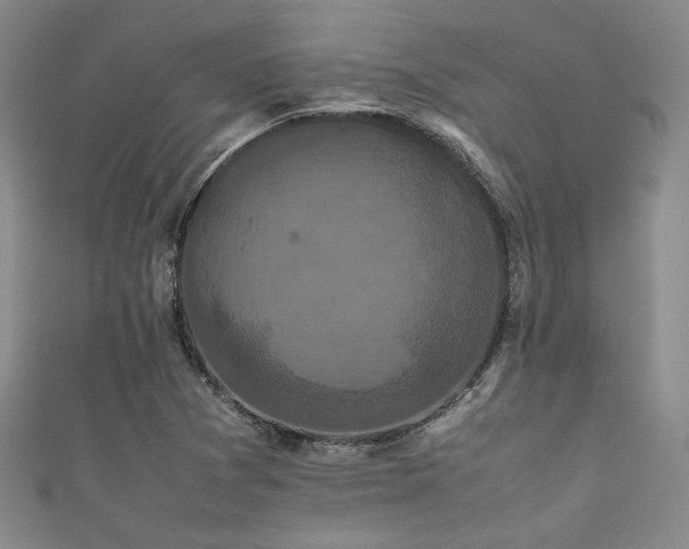 X0000111861361200907231443