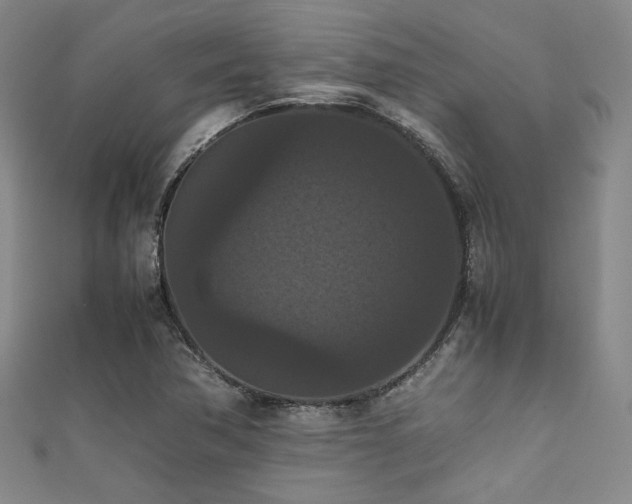 X0000111861362200907231443