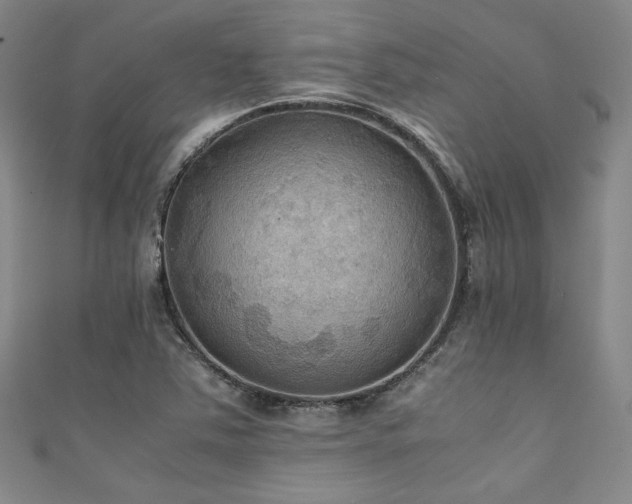 X0000111861363200907231443