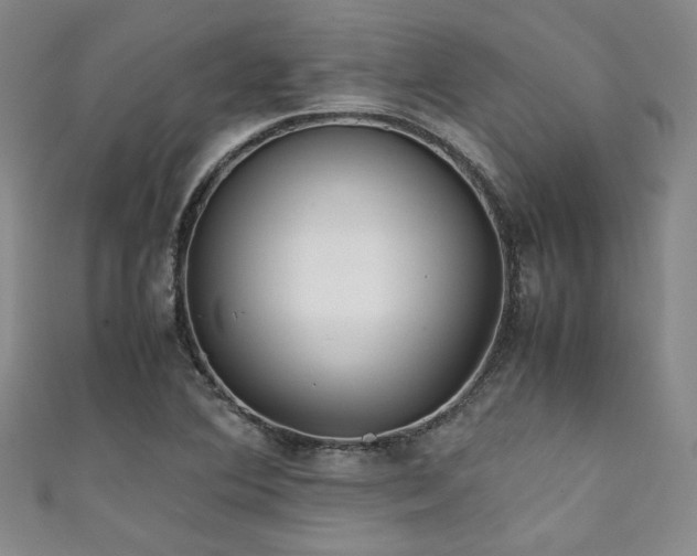 X0000111861364200907231443